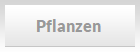 Pflanzen 