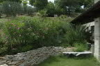 Il Gufo terrace wth oleander hedge